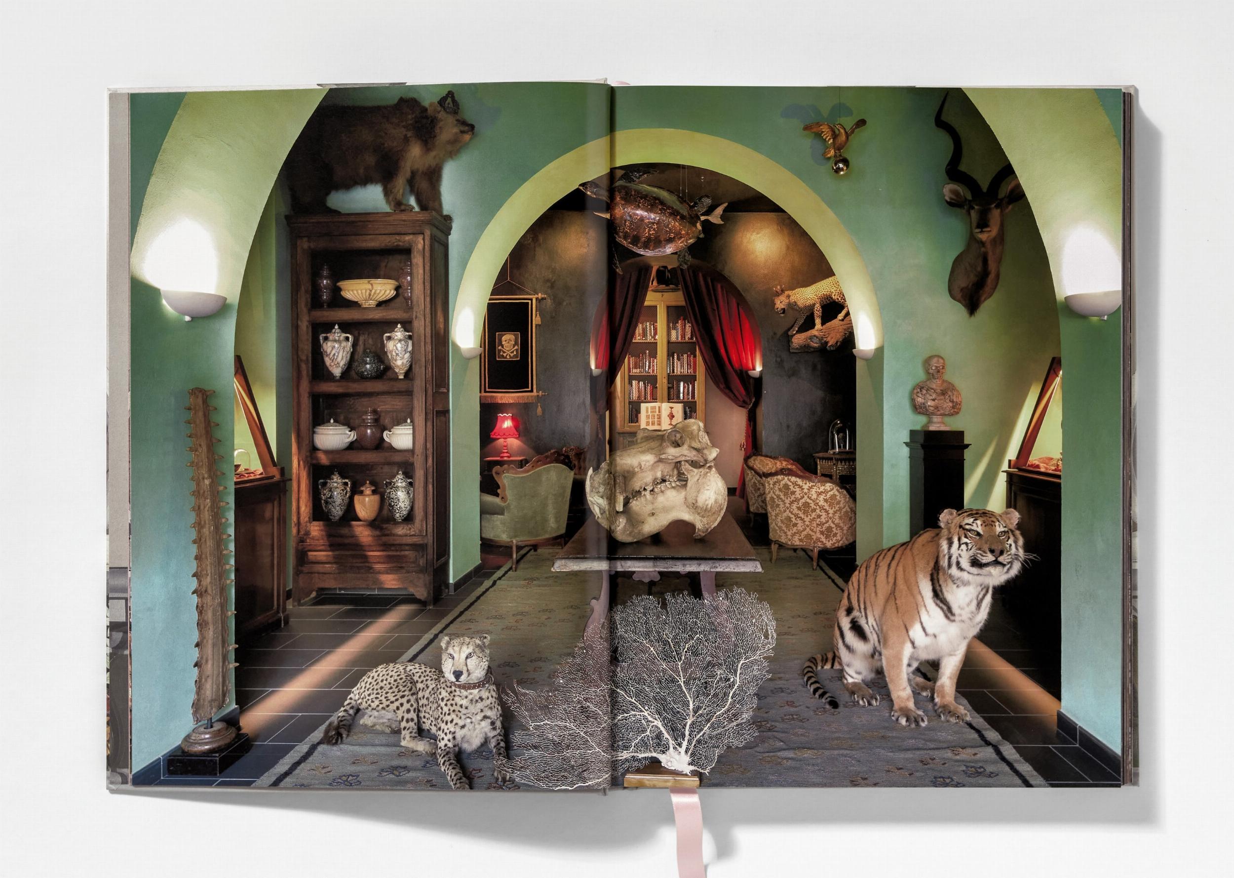 Massimo Listri. Cabinet of Curiosities (Capa dura) 9