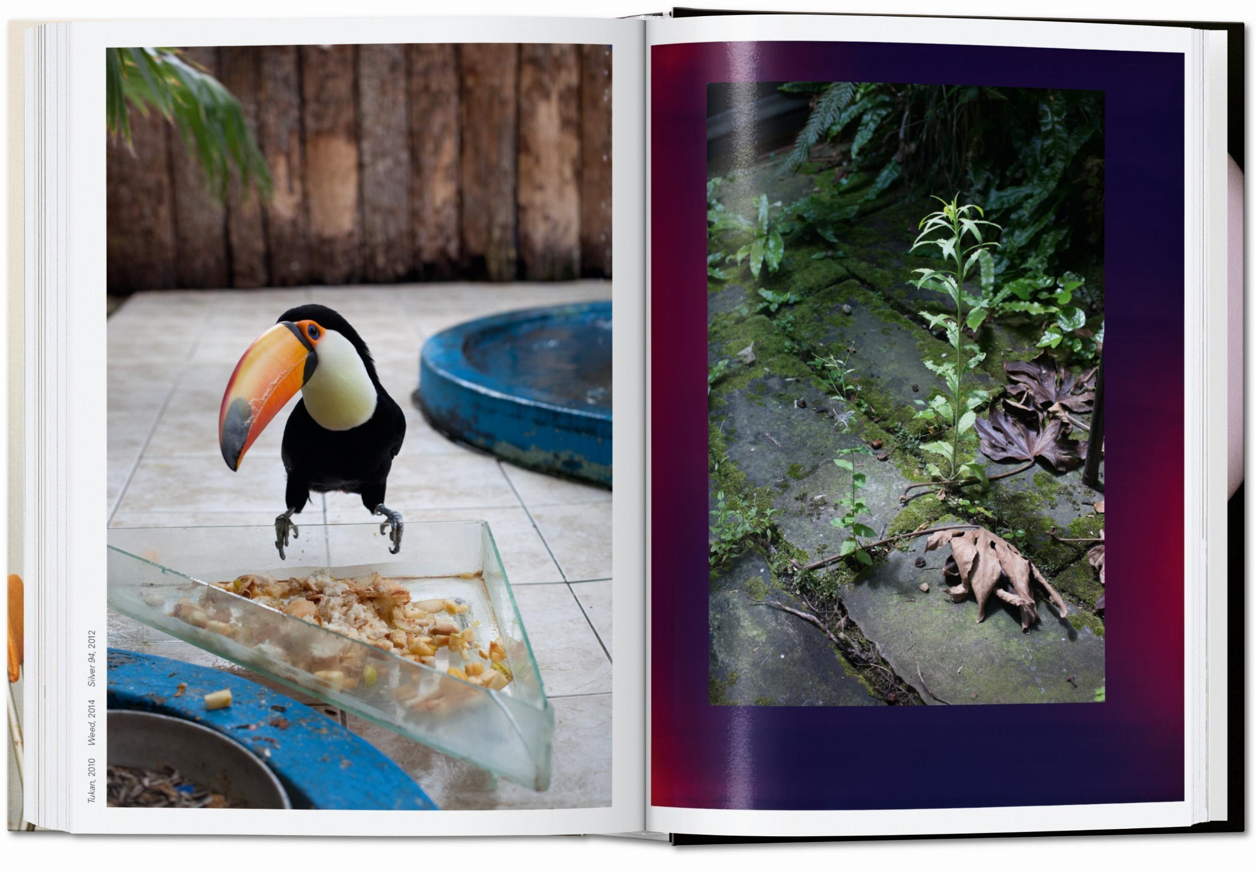 Wolfgang Tillmans. four books. 45th Ed. (Capa dura) 7