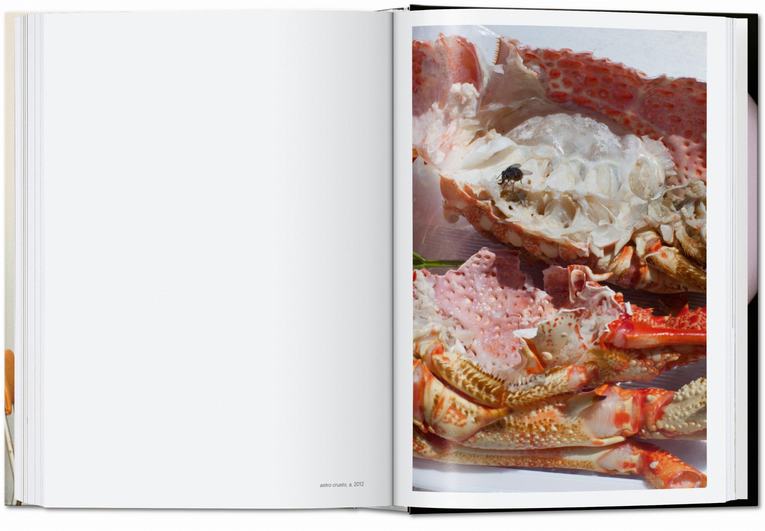 Wolfgang Tillmans. four books. 45th Ed. (Capa dura) 9