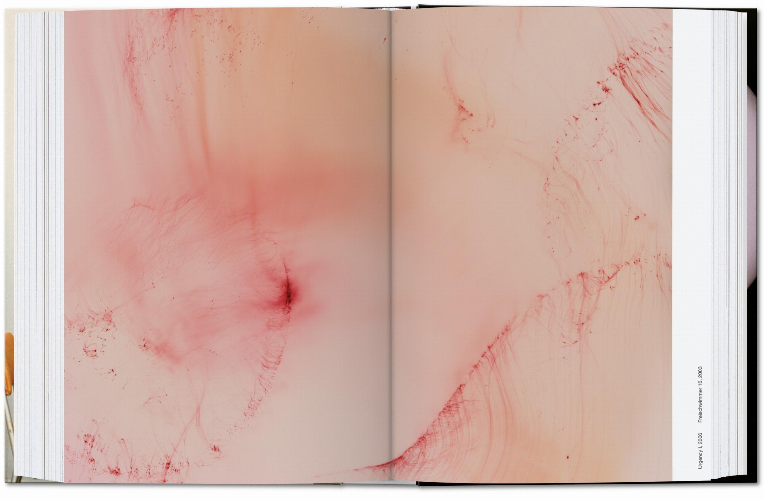 Wolfgang Tillmans. four books. 45th Ed. (Capa dura) 11
