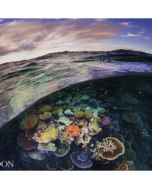Two worlds: above and below the sea 1