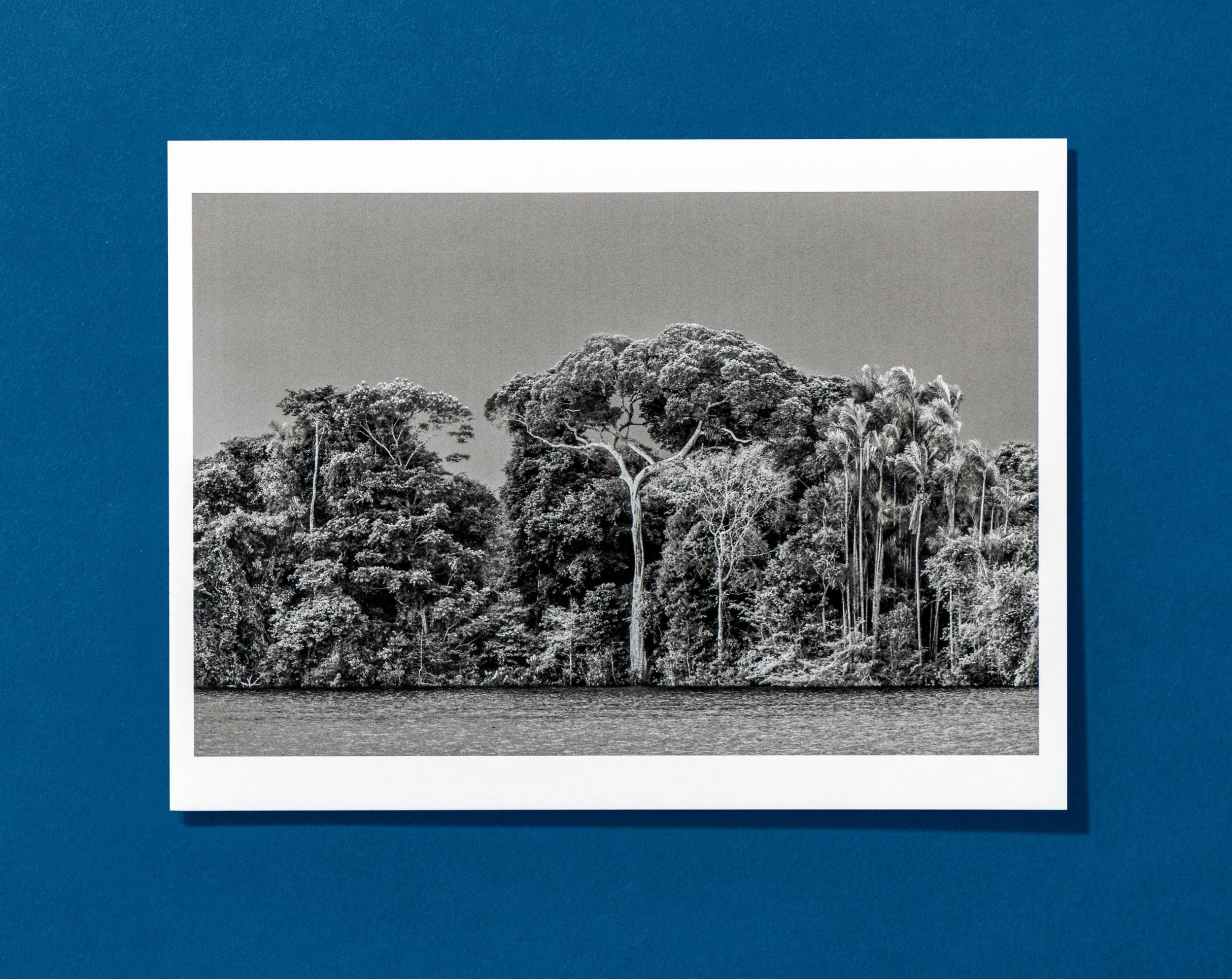 Sebastião Salgado. Amazônia. Postcard Set 3