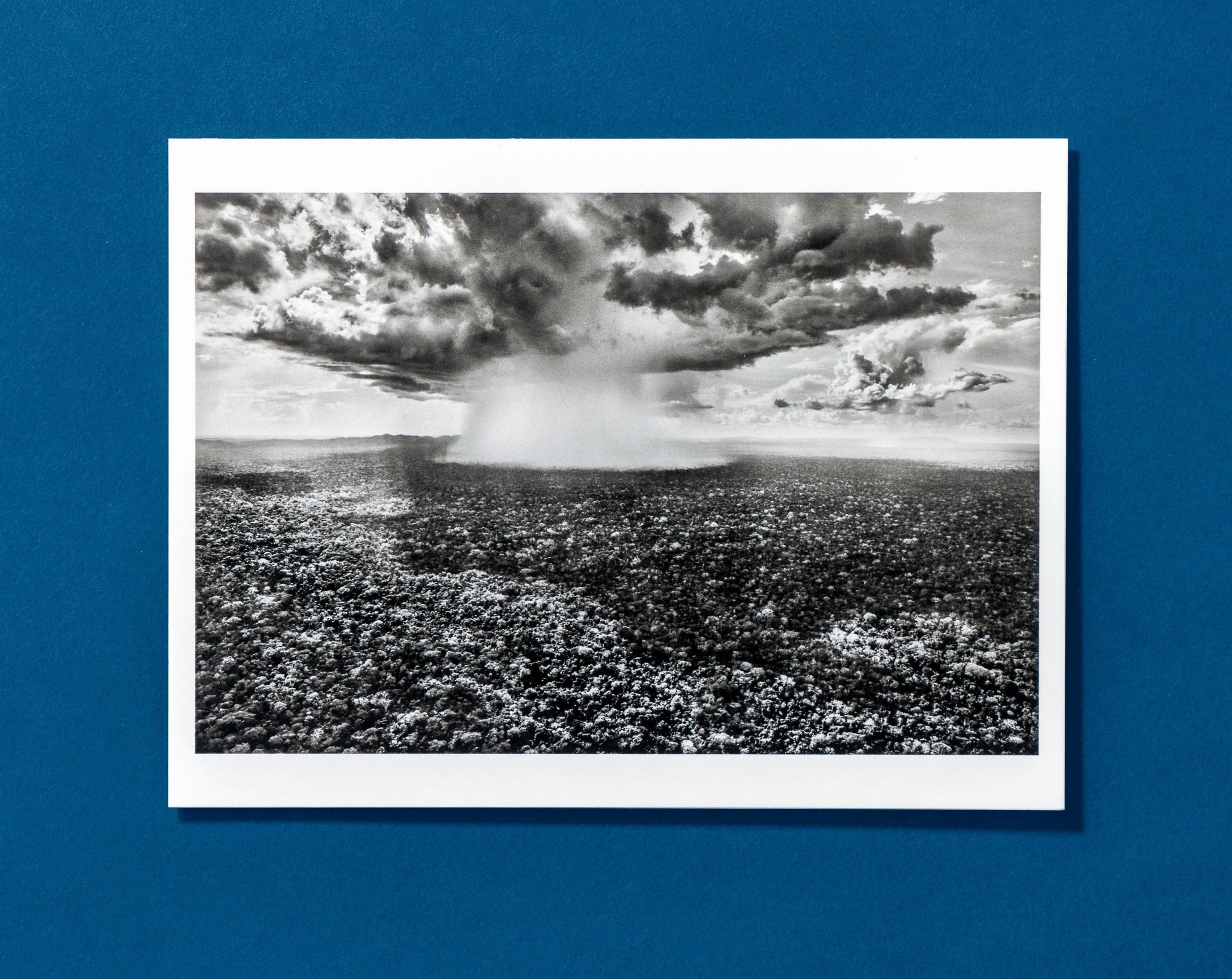 Sebastião Salgado. Amazônia. Postcard Set 11