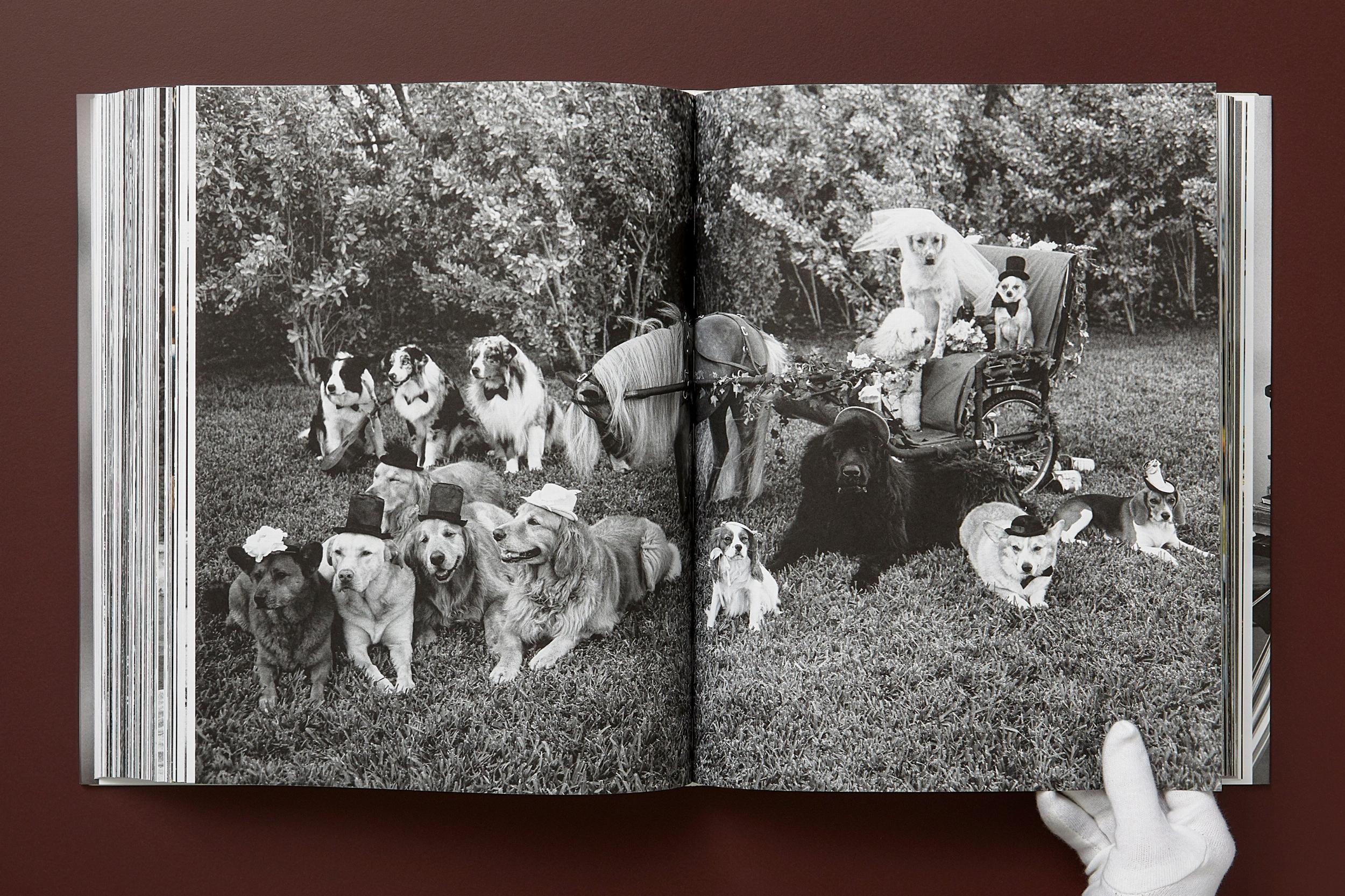 Bruce Weber. The Golden Retriever Photographic Society (Capa dura) 2