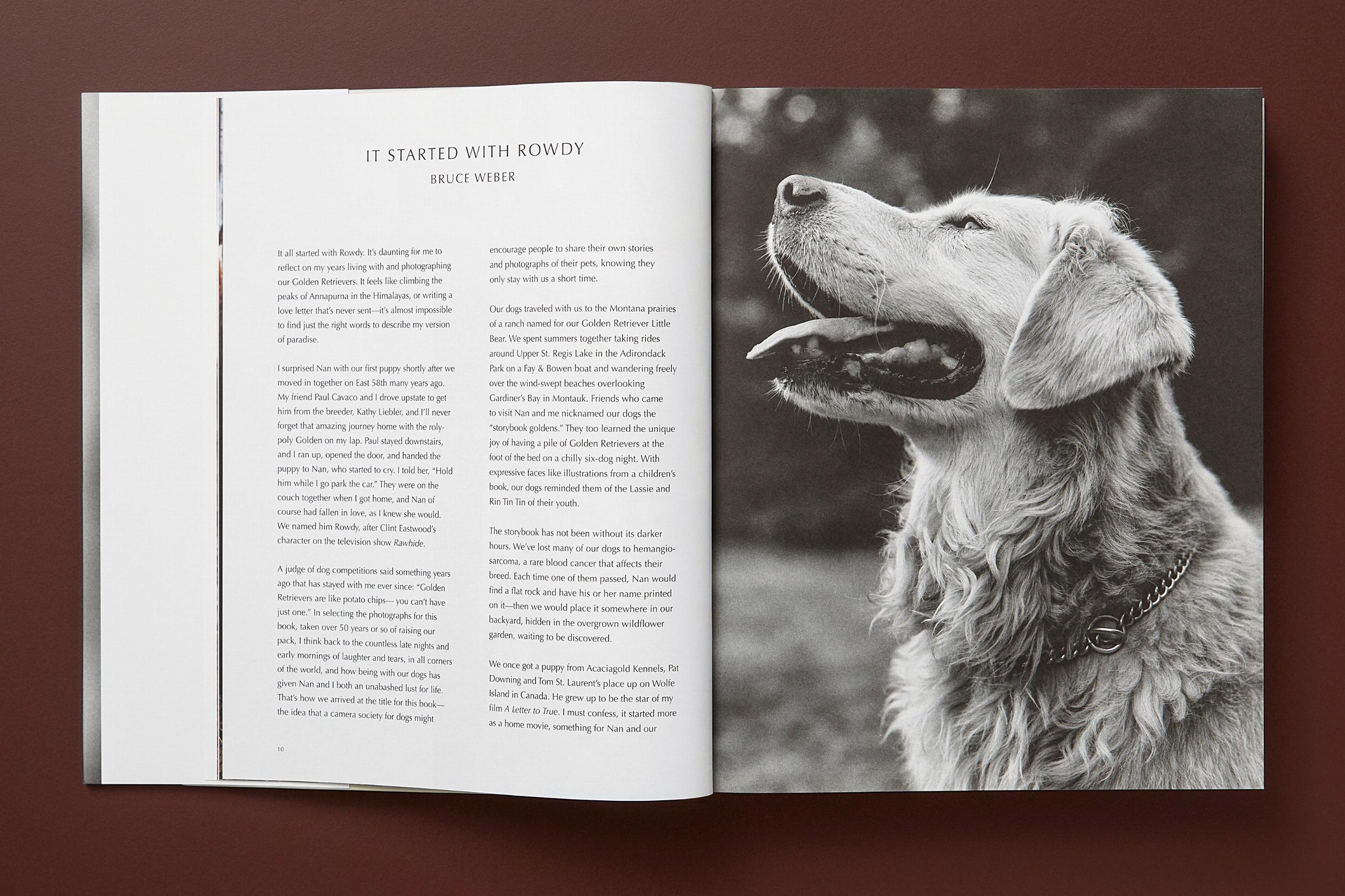 Bruce Weber. The Golden Retriever Photographic Society (Capa dura) 7