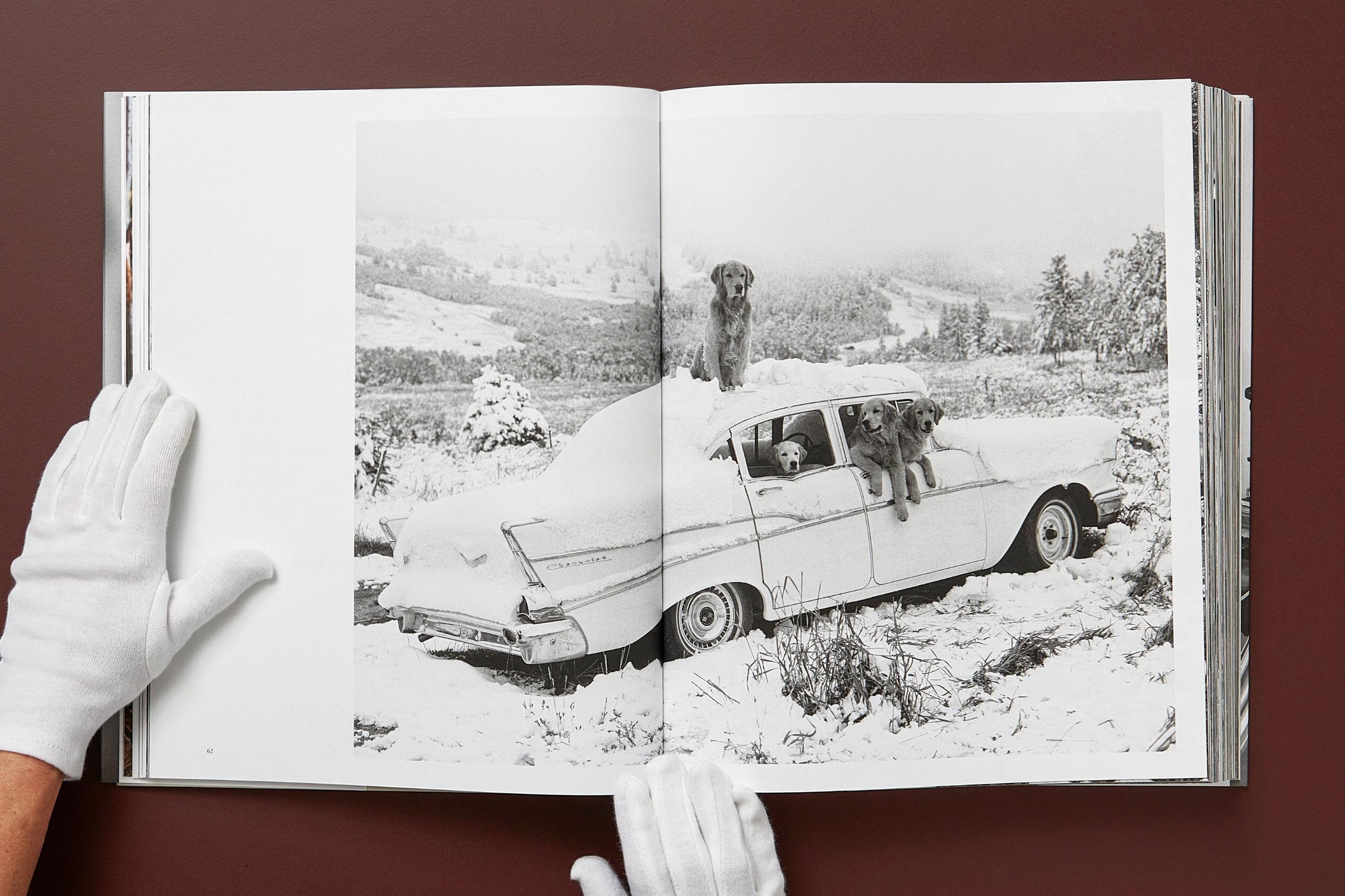 Bruce Weber. The Golden Retriever Photographic Society (Capa dura) 11