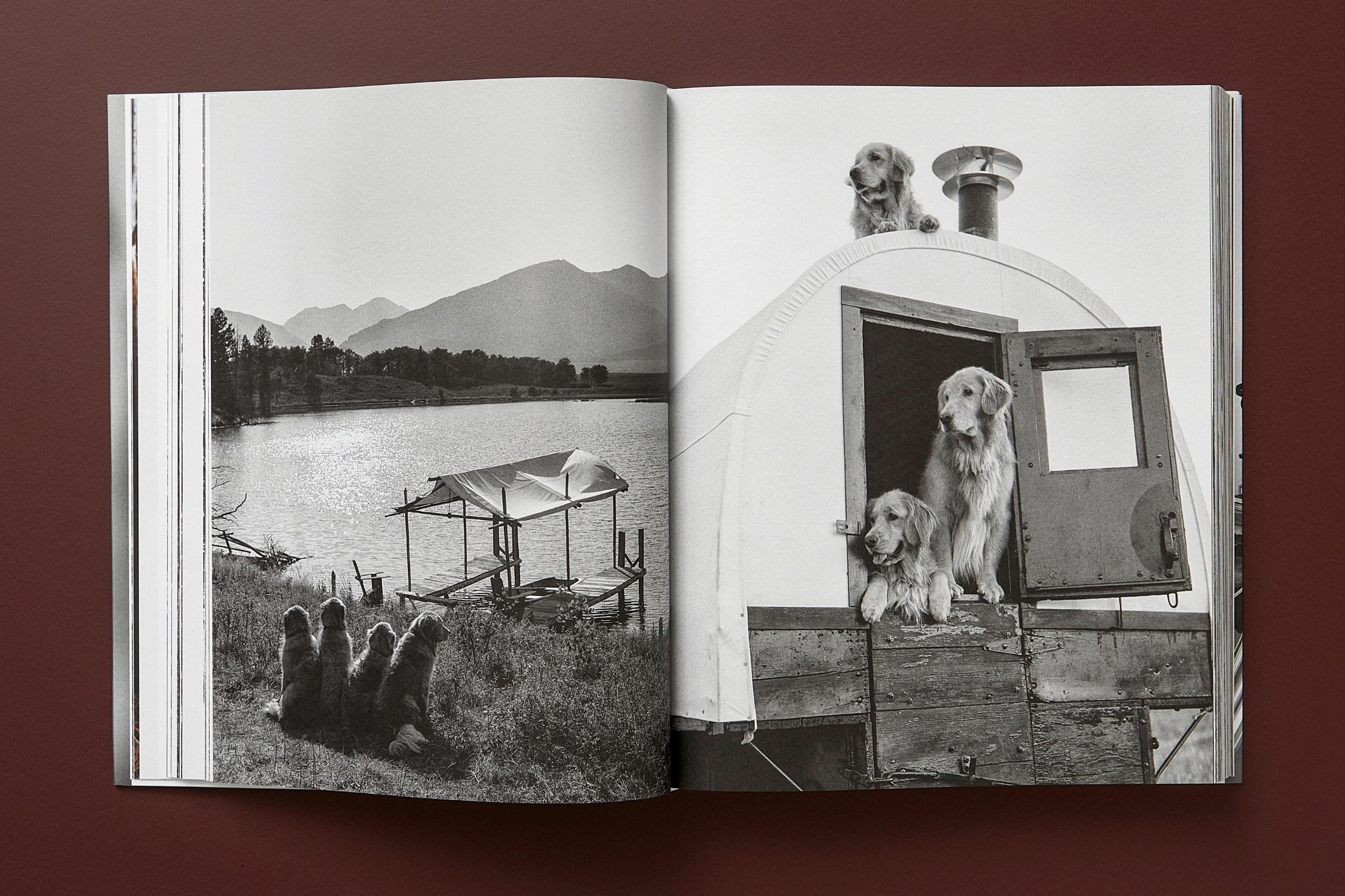 Bruce Weber. The Golden Retriever Photographic Society (Capa dura) 13