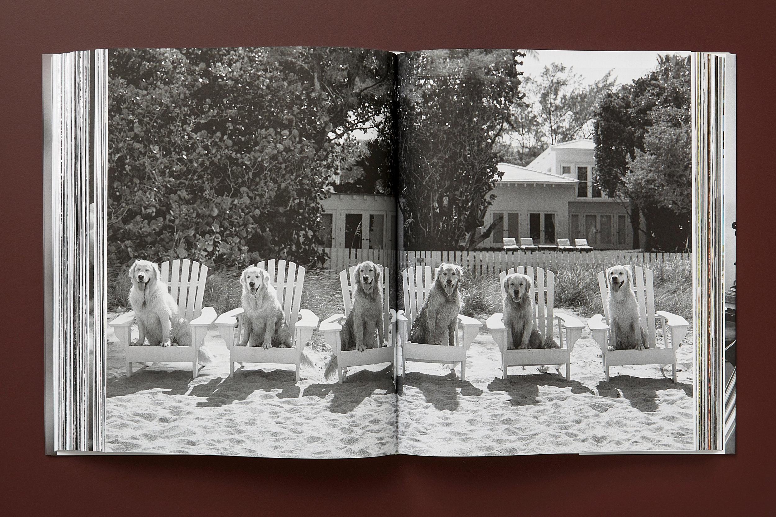 Bruce Weber. The Golden Retriever Photographic Society (Capa dura) 15