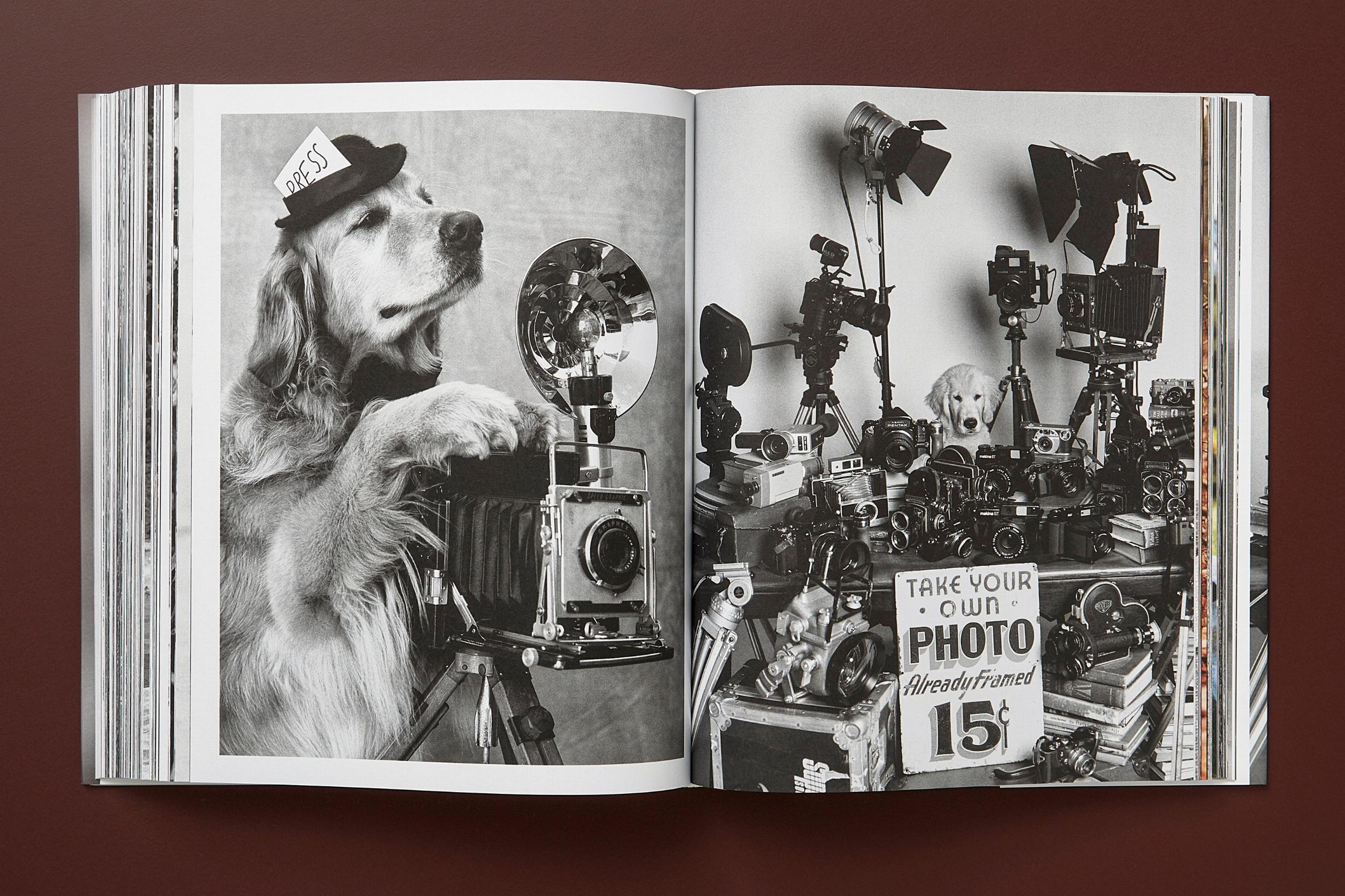 Bruce Weber. The Golden Retriever Photographic Society (Capa dura) 17