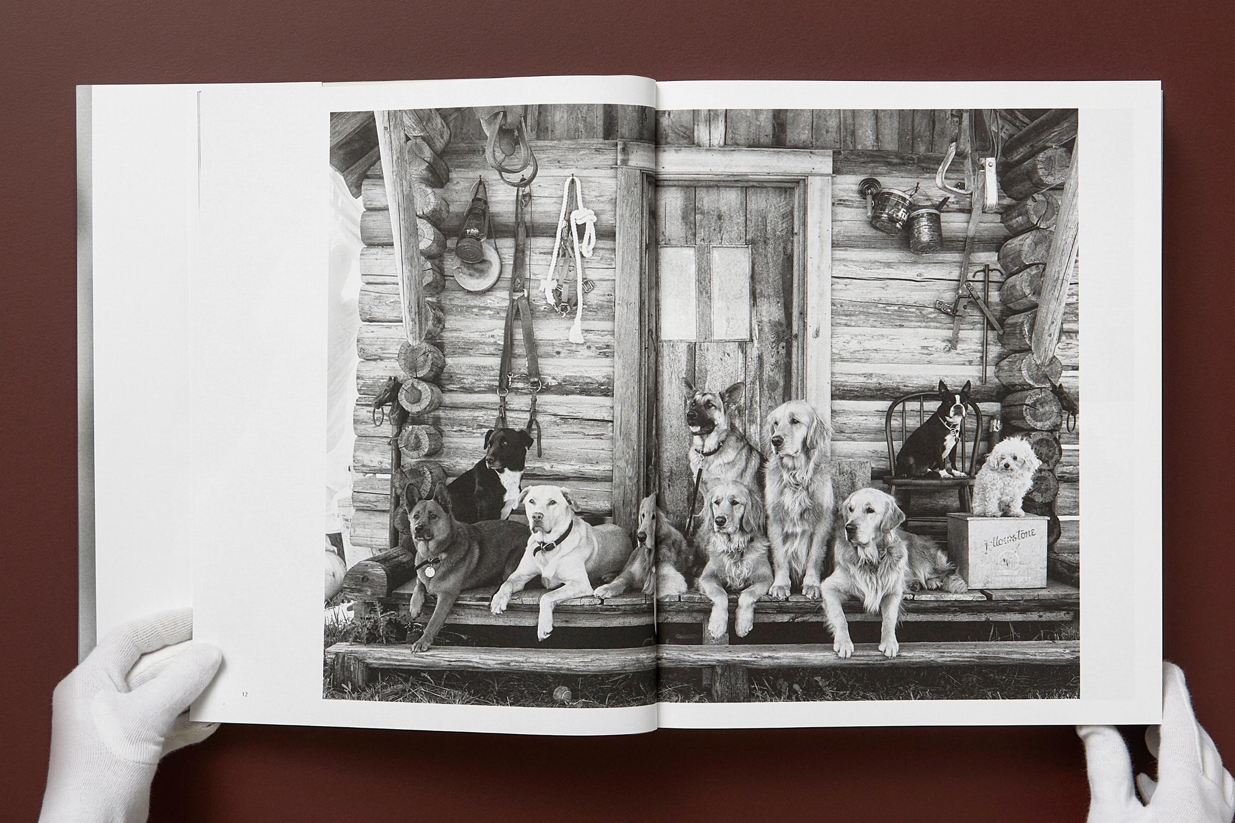 Bruce Weber. The Golden Retriever Photographic Society (Capa dura) 18
