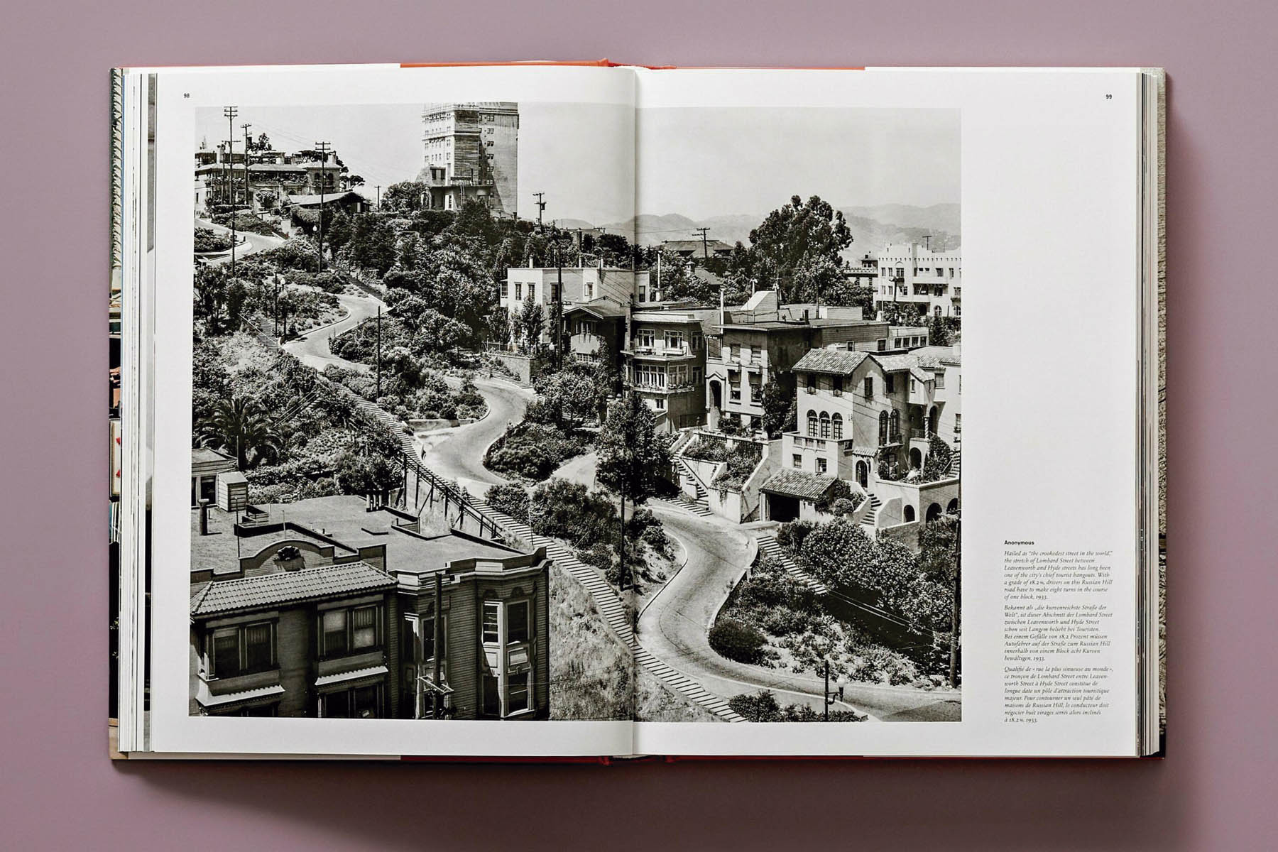 San Francisco. Portrait of a City (Capa dura) 7