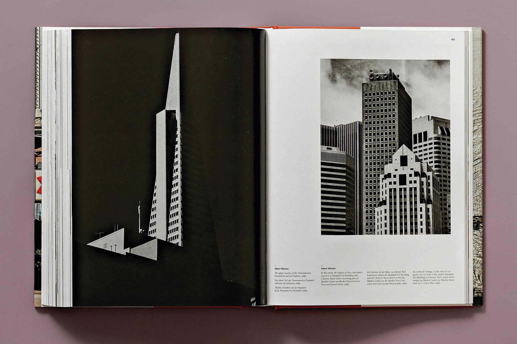 San Francisco. Portrait of a City (Capa dura) 15