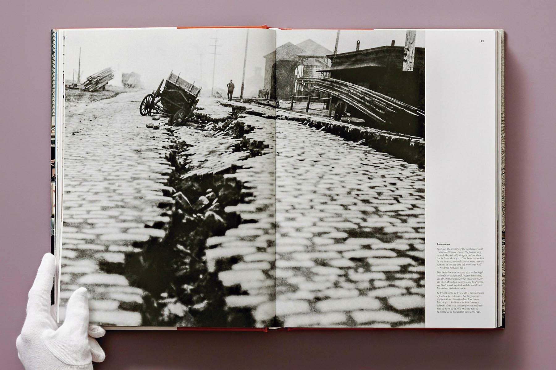 San Francisco. Portrait of a City (Capa dura) 26