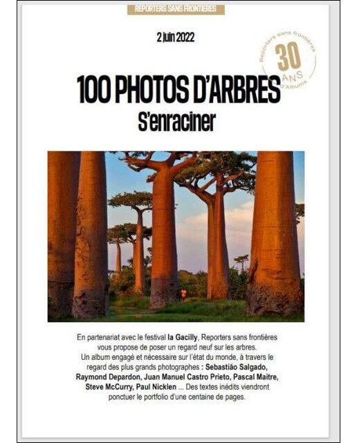 100 fotos de árboles por la libertad deprensa 1
