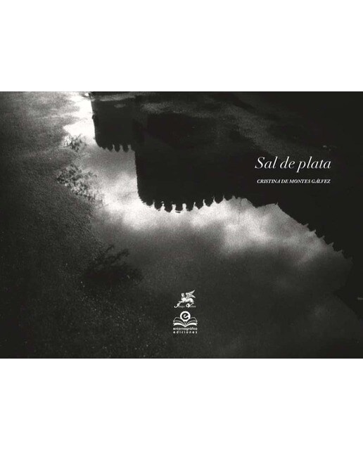 Sal de plata 1
