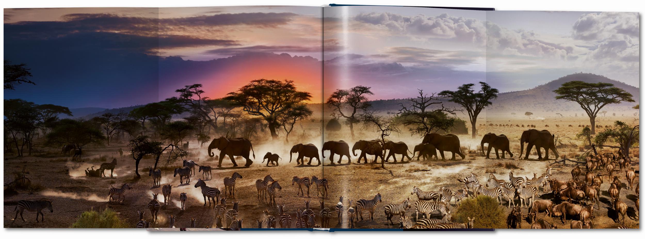 Stephen Wilkes. Day to Night (Capa dura) 7