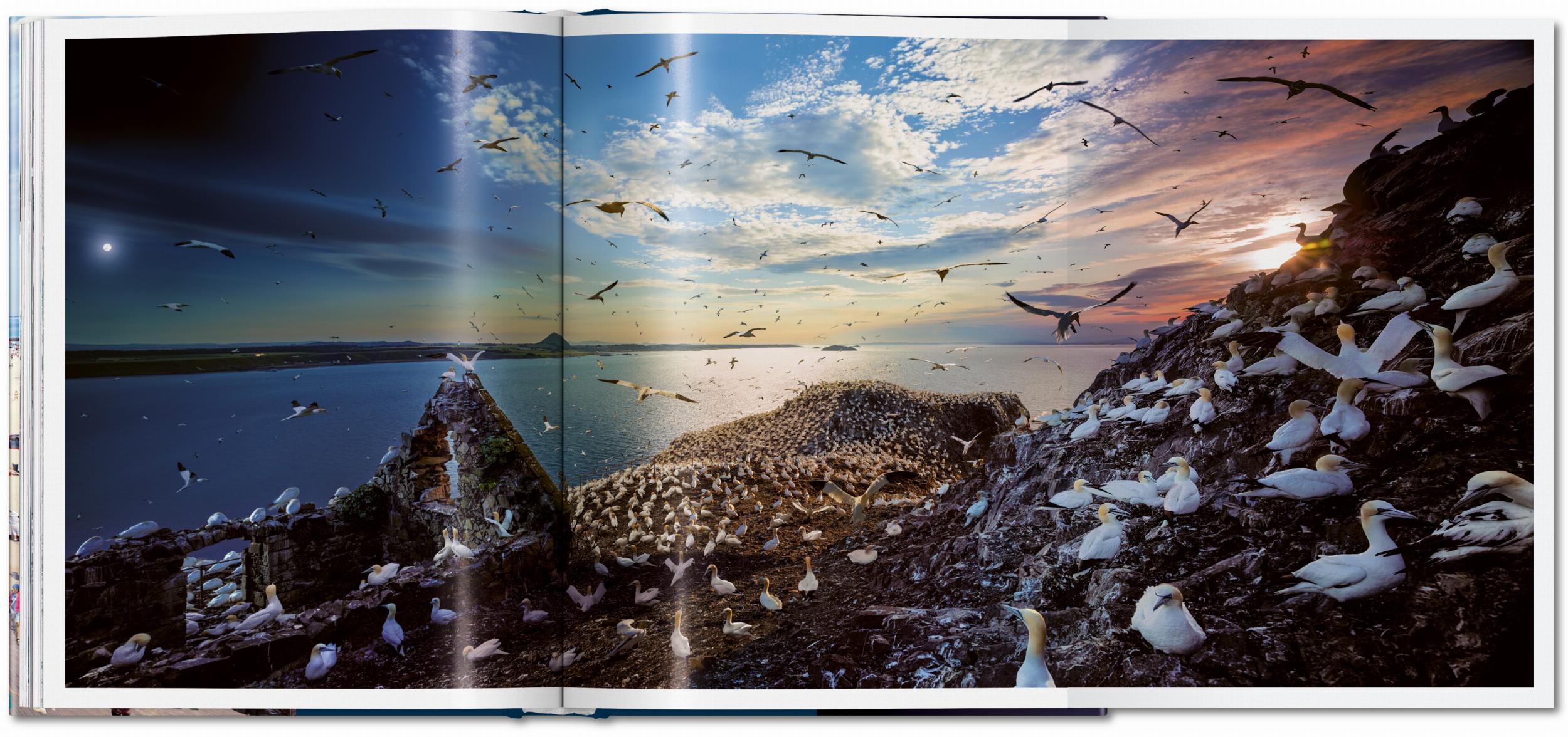 Stephen Wilkes. Day to Night (Capa dura) 9