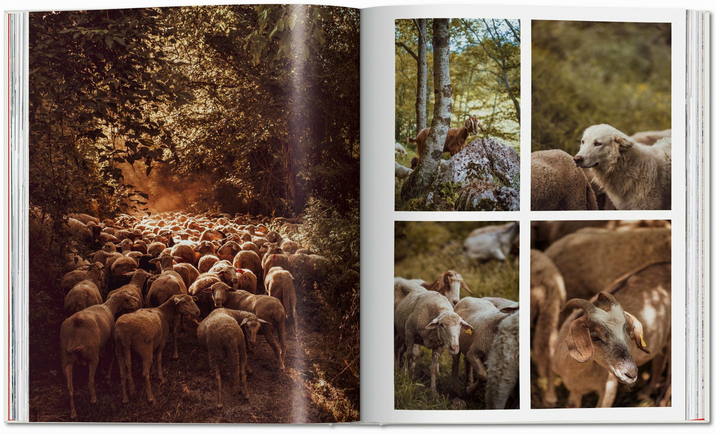 Remote Experiences. Extraordinary Travel Adventures from North to South (Capa dura) 5