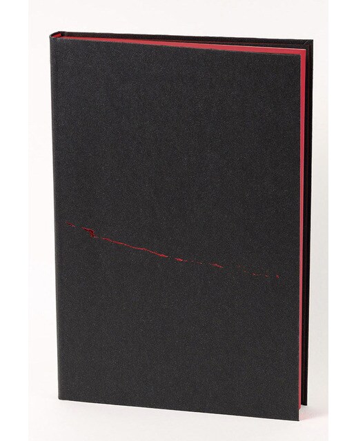 Ochenta y cinco vistas 1