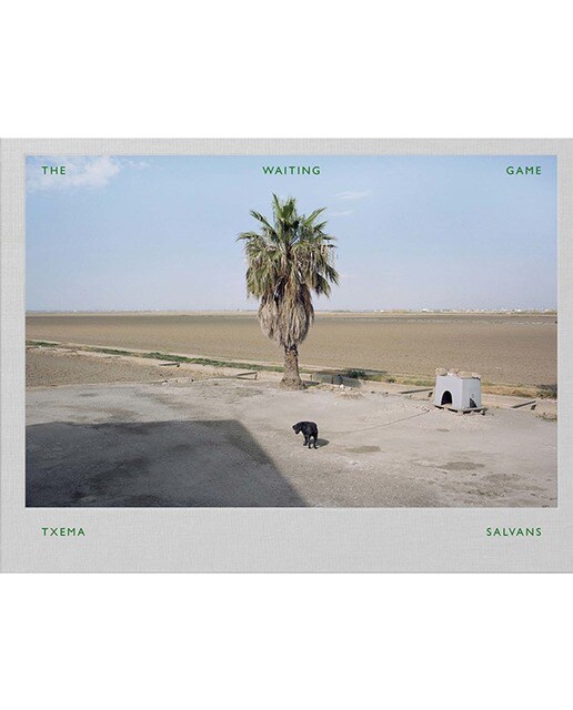 The Waiting Game III (Capa dura) 1