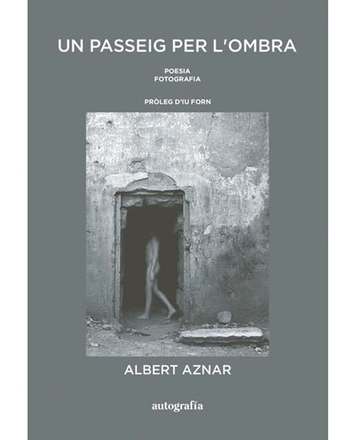 Un passeig per l'ombra 1