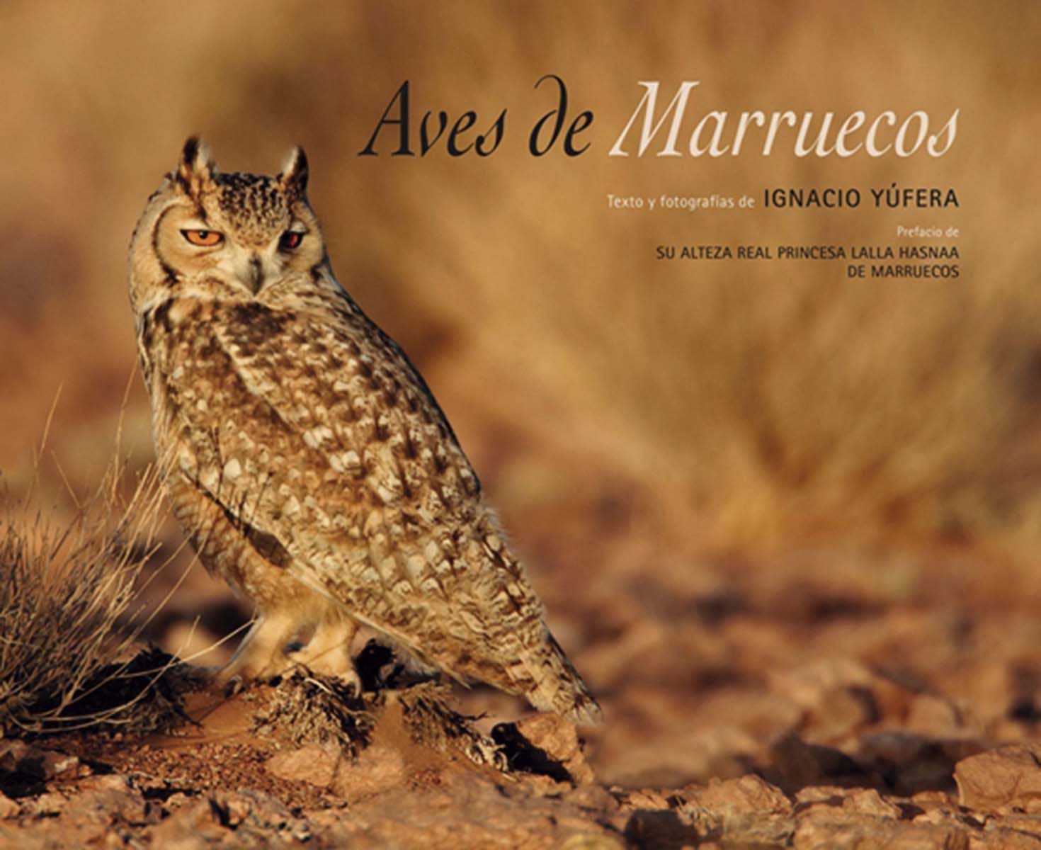 Aves de Marruecos 1