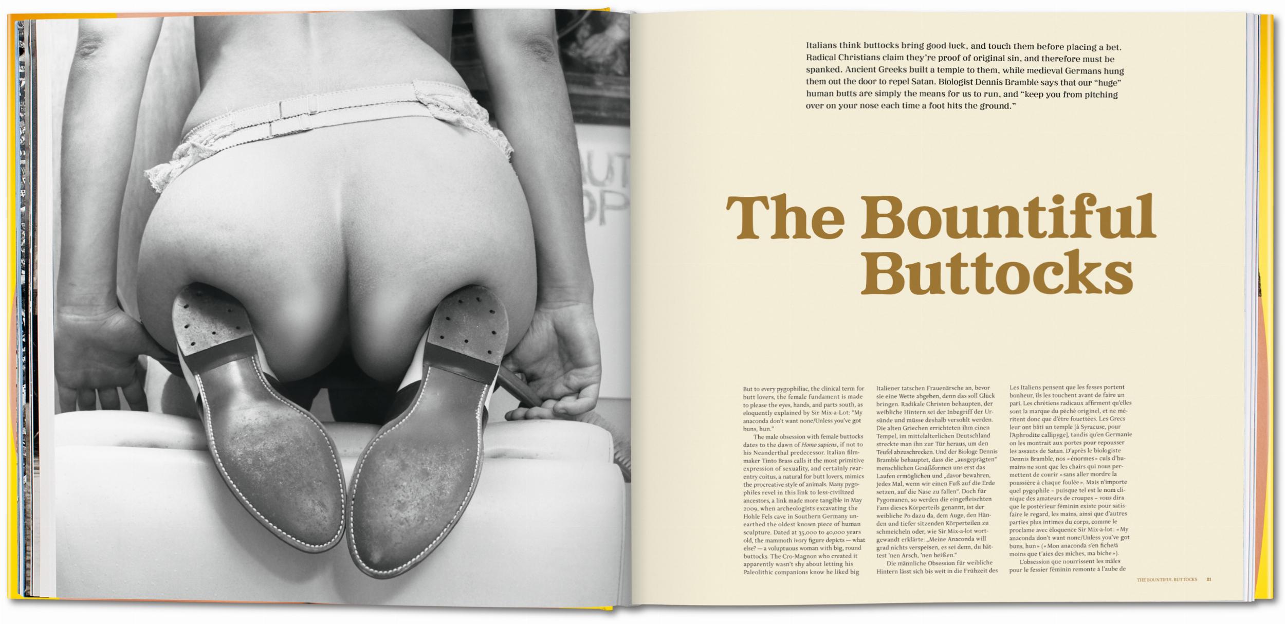 The Big Butt Book (Capa dura) 6