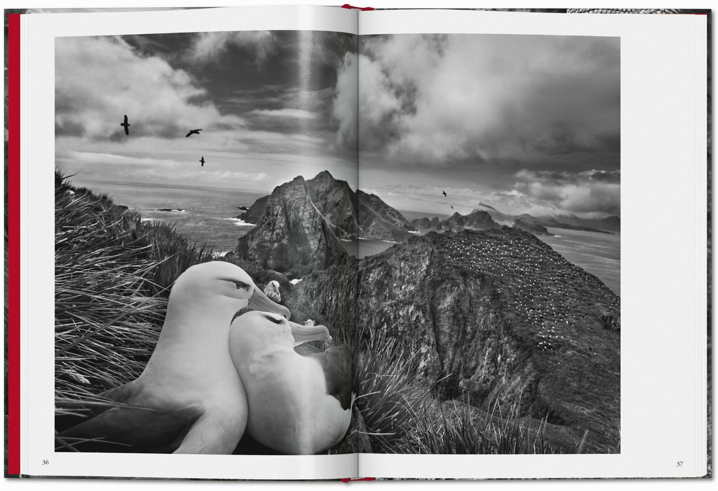 Sebastião Salgado. Génesis (Capa dura) 3