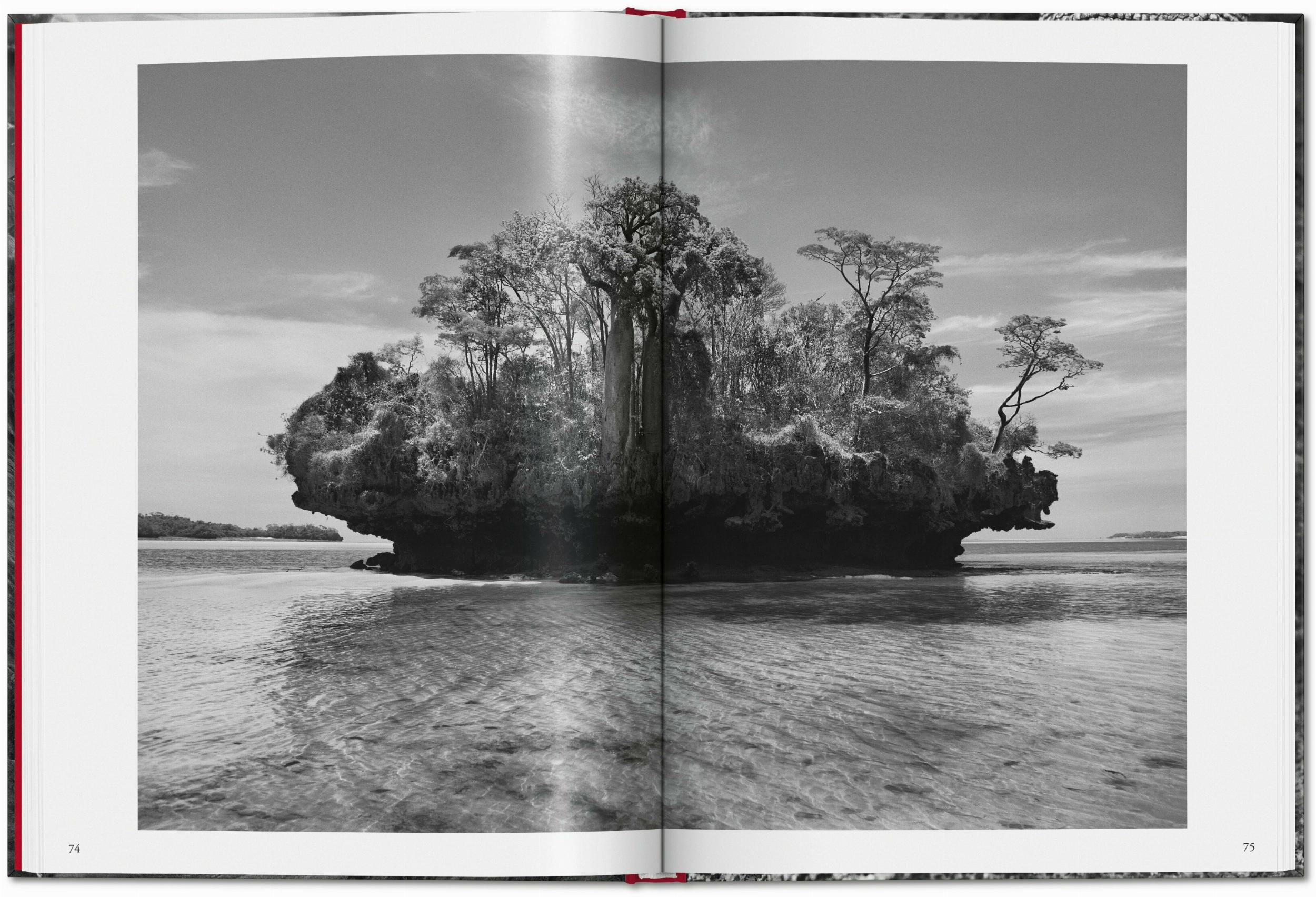 Sebastião Salgado. Génesis (Capa dura) 6