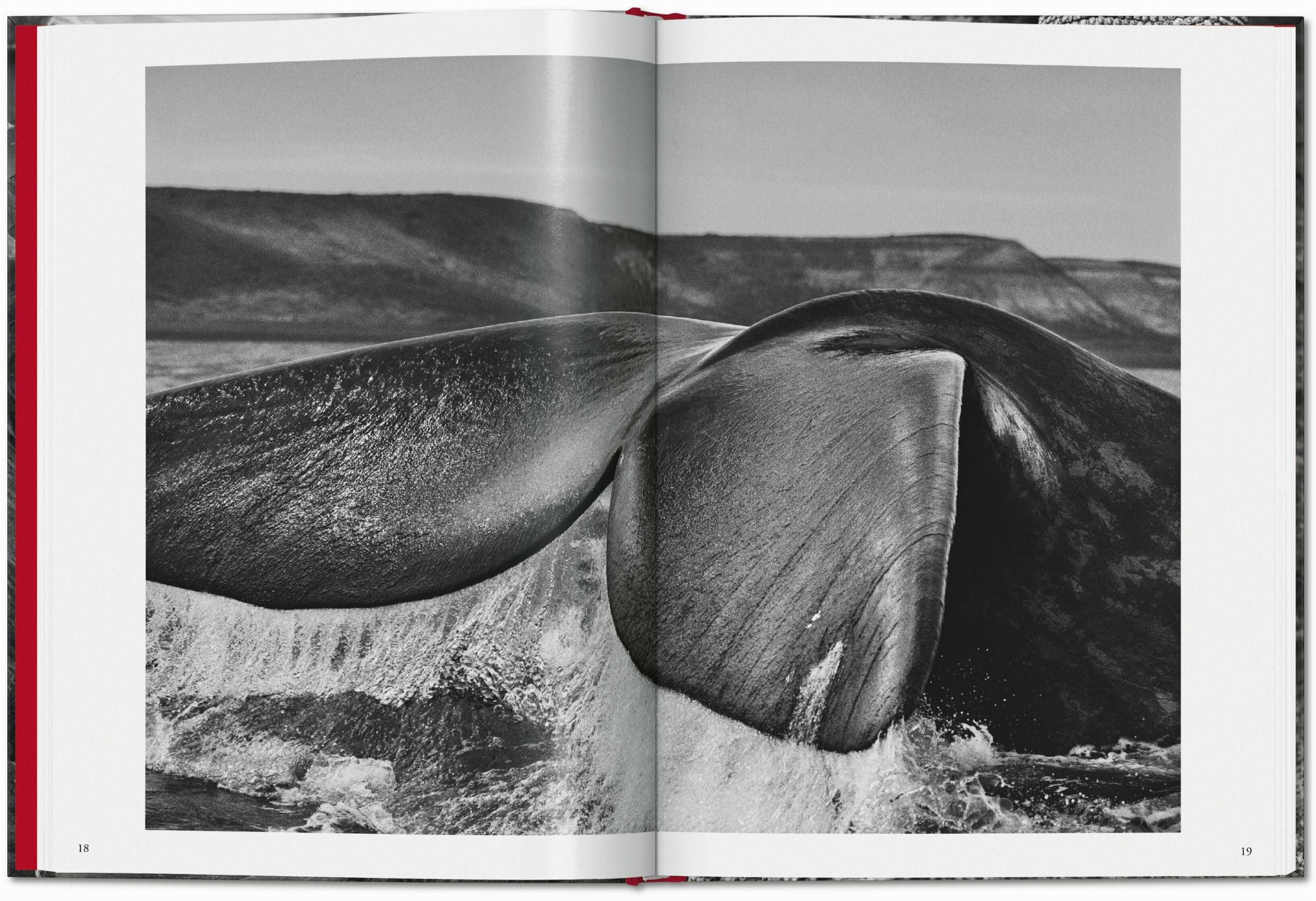 Sebastião Salgado. Génesis (Capa dura) 7