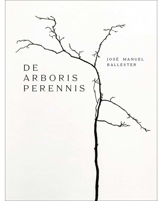 De Arboris Perennis 1