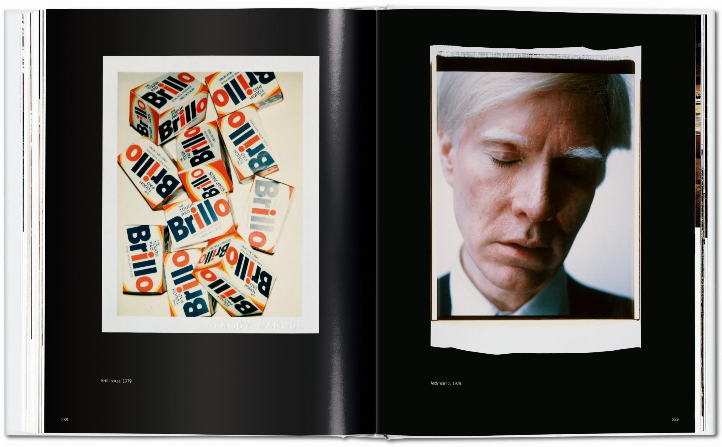 Andy Warhol. Polaroids 1958-1987 (Capa dura) 7