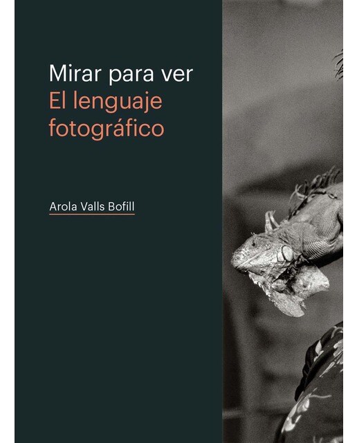 Imagem 0 de MIRAR PARA VER. EL LENGUAJE FOTOGRÁFICO (Capa mole)