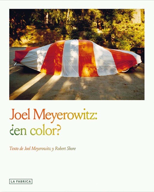 Imagem 0 de Joel Meyerowitz:¿en color?
