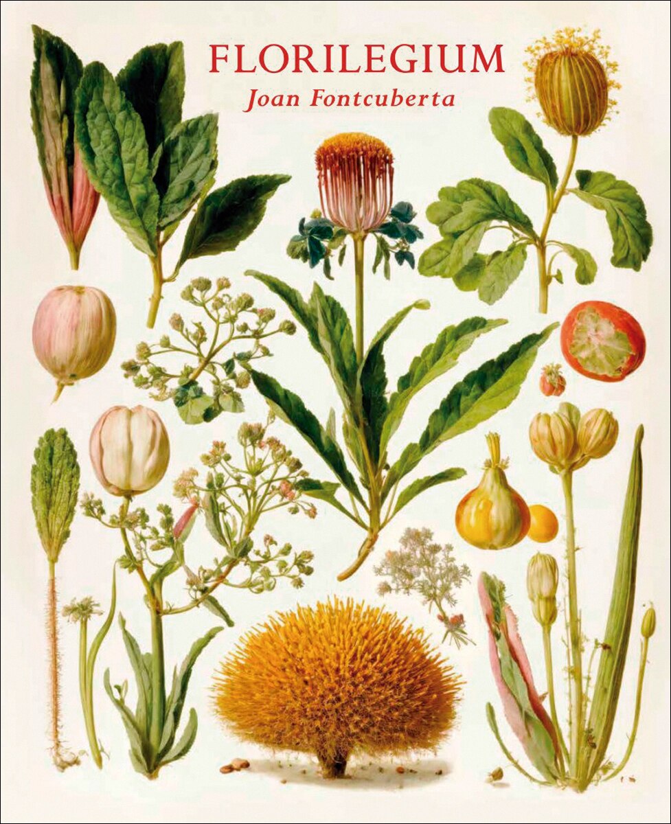 Florilegium 1