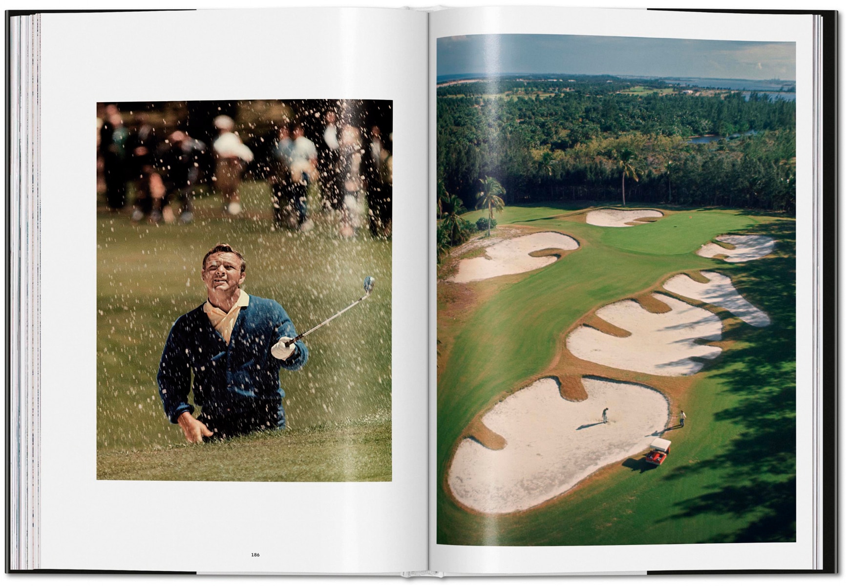 Marvin E. Newman. Photographs 1949&1983 (Capa dura) 6