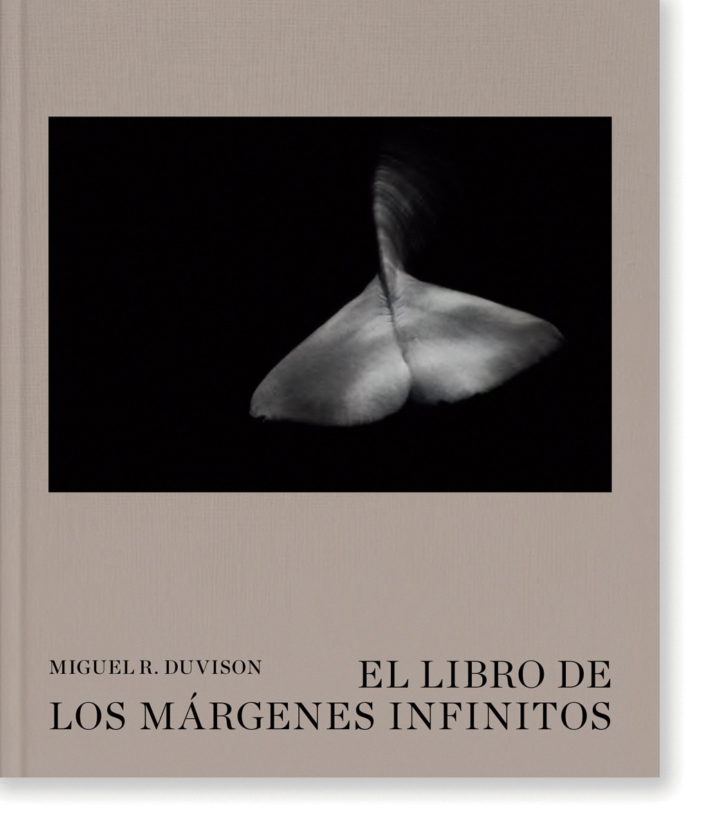 El libro de los márgenes infinitos. 1