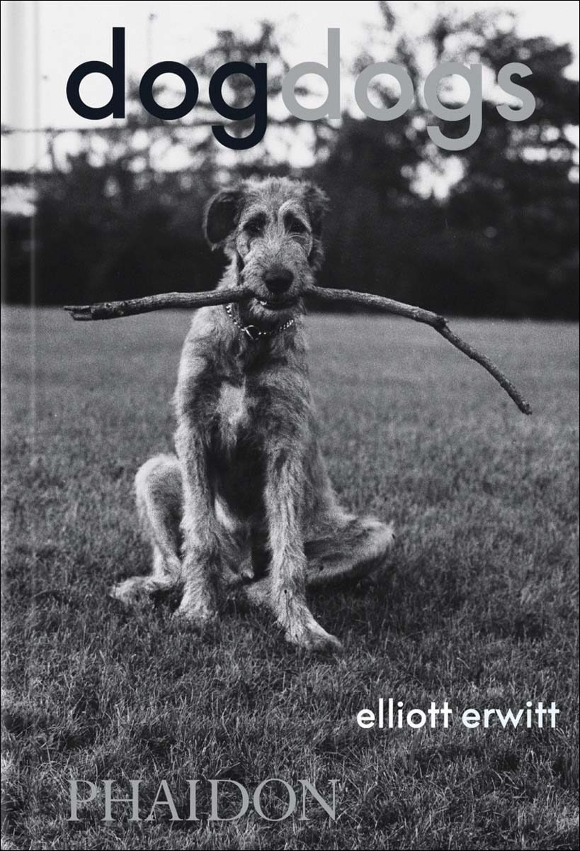 Dogdogs 1