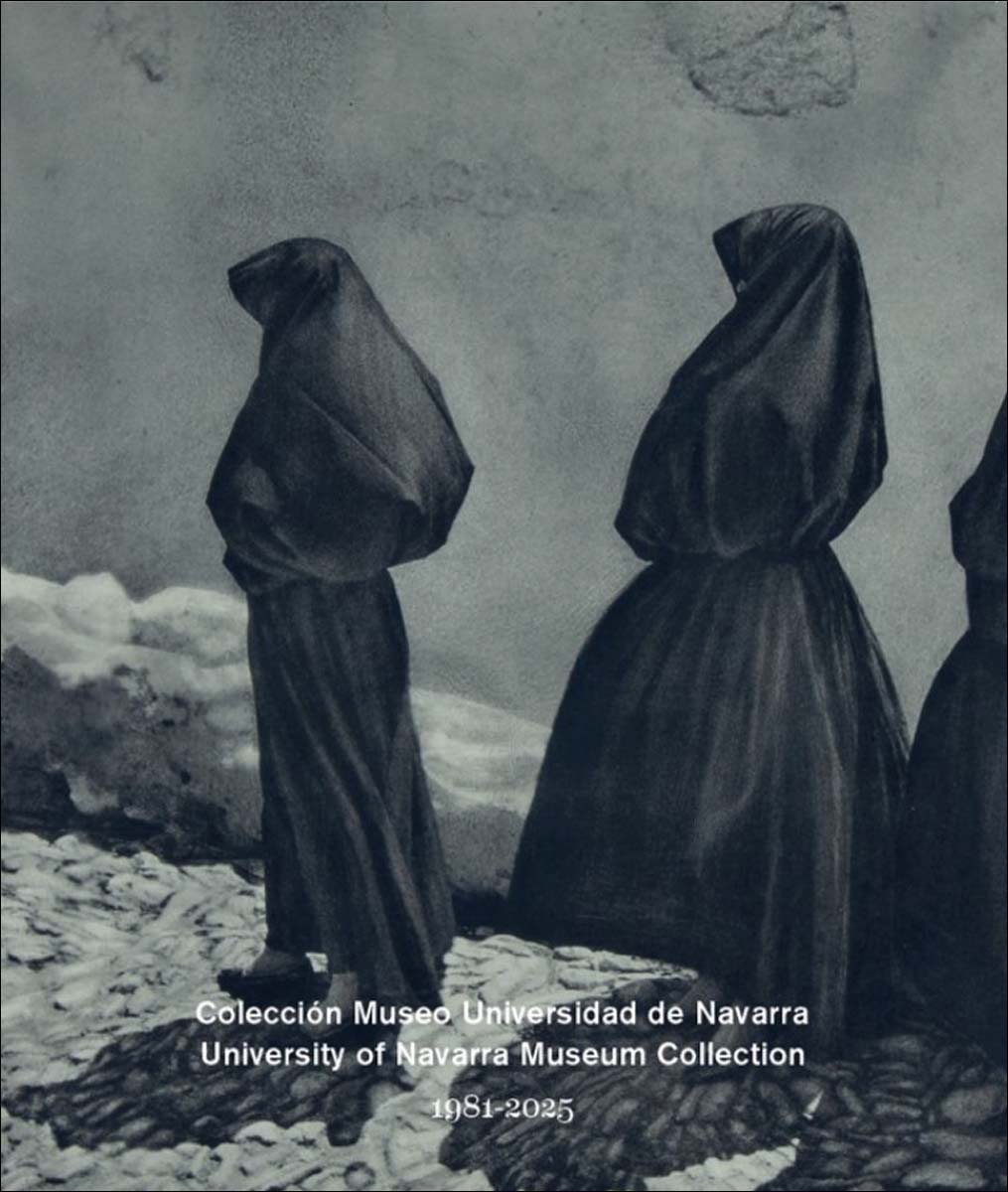 Imagem 0 de Colección Museo Universidad de Navarra. 1981-2025: Cuatro décadas (Capa mole)