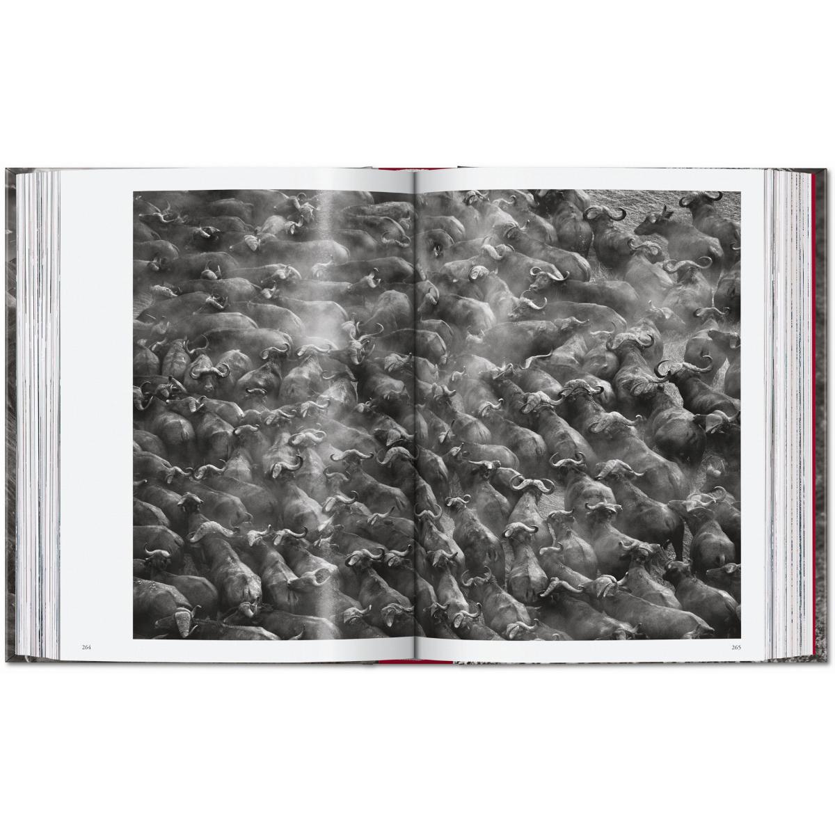 Sebastião Salgado. Genesis. 45th Ed. (Capa dura) 2