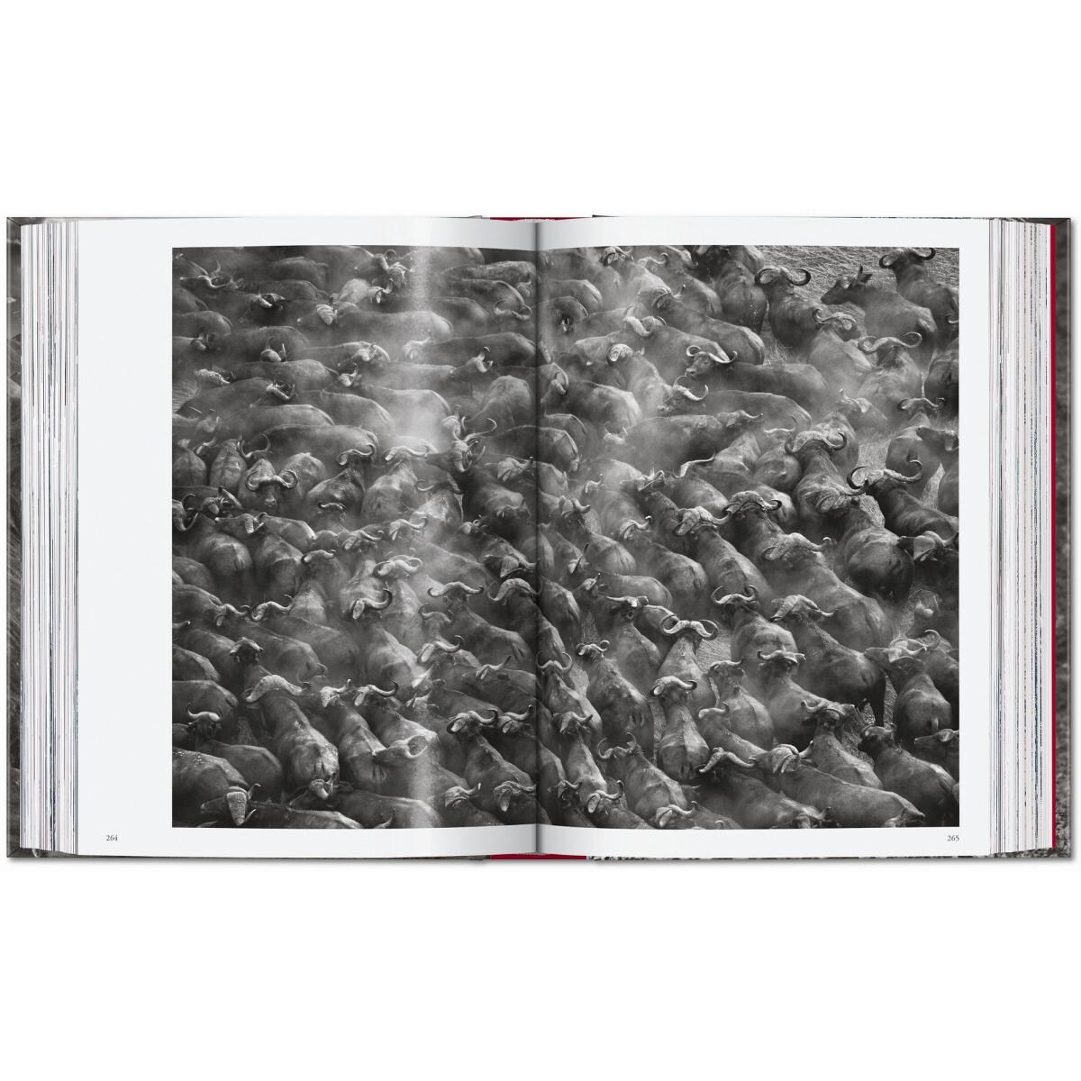 Sebastião Salgado. Genesis. 45th Ed. (Capa dura) 2
