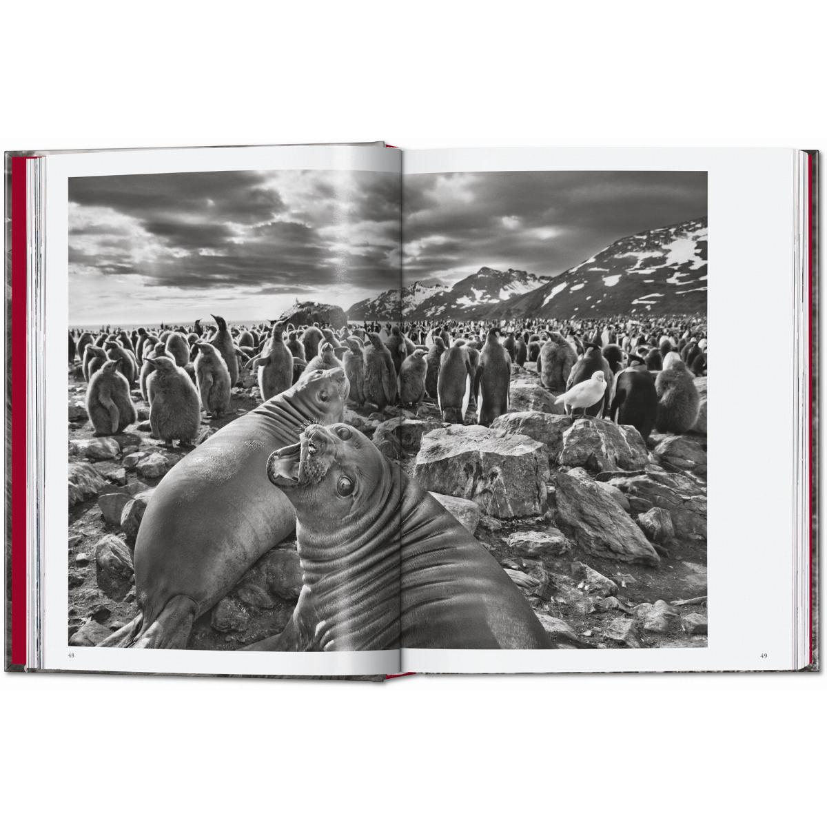 Sebastião Salgado. Genesis. 45th Ed. (Capa dura) 4