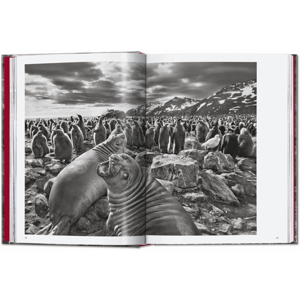 Sebastião Salgado. Genesis. 45th Ed. (Capa dura) 4