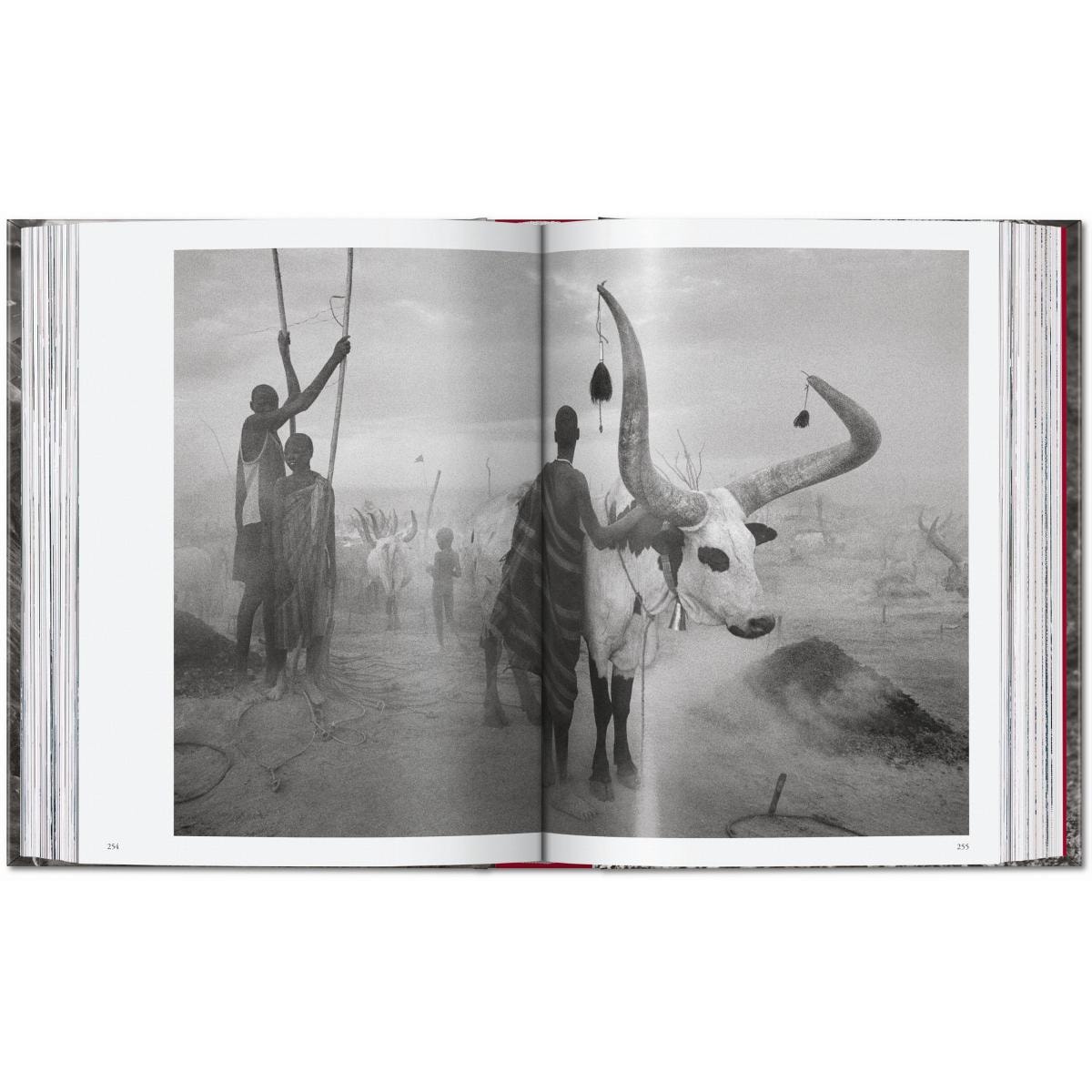 Sebastião Salgado. Genesis. 45th Ed. (Capa dura) 6