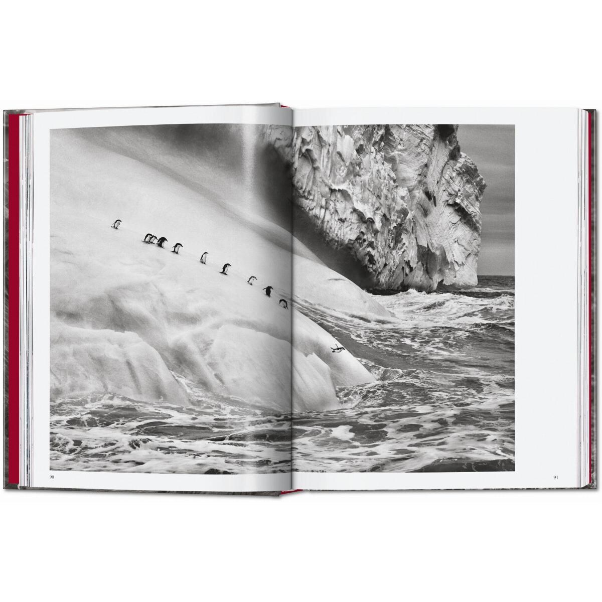 Sebastião Salgado. Genesis. 45th Ed. (Capa dura) 7
