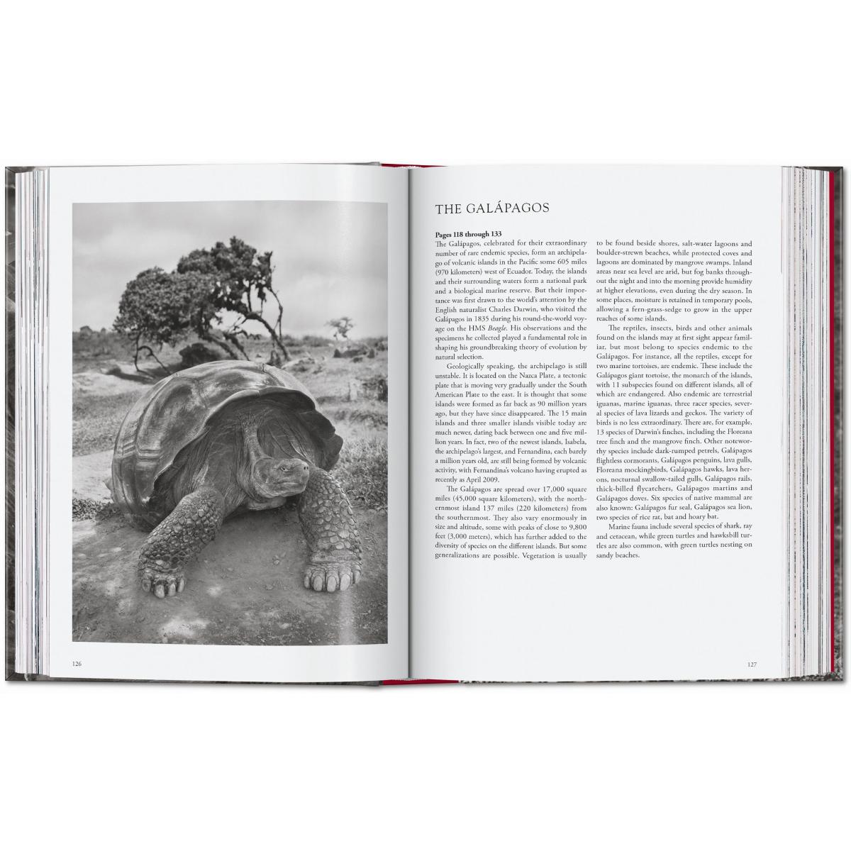 Sebastião Salgado. Genesis. 45th Ed. (Capa dura) 8