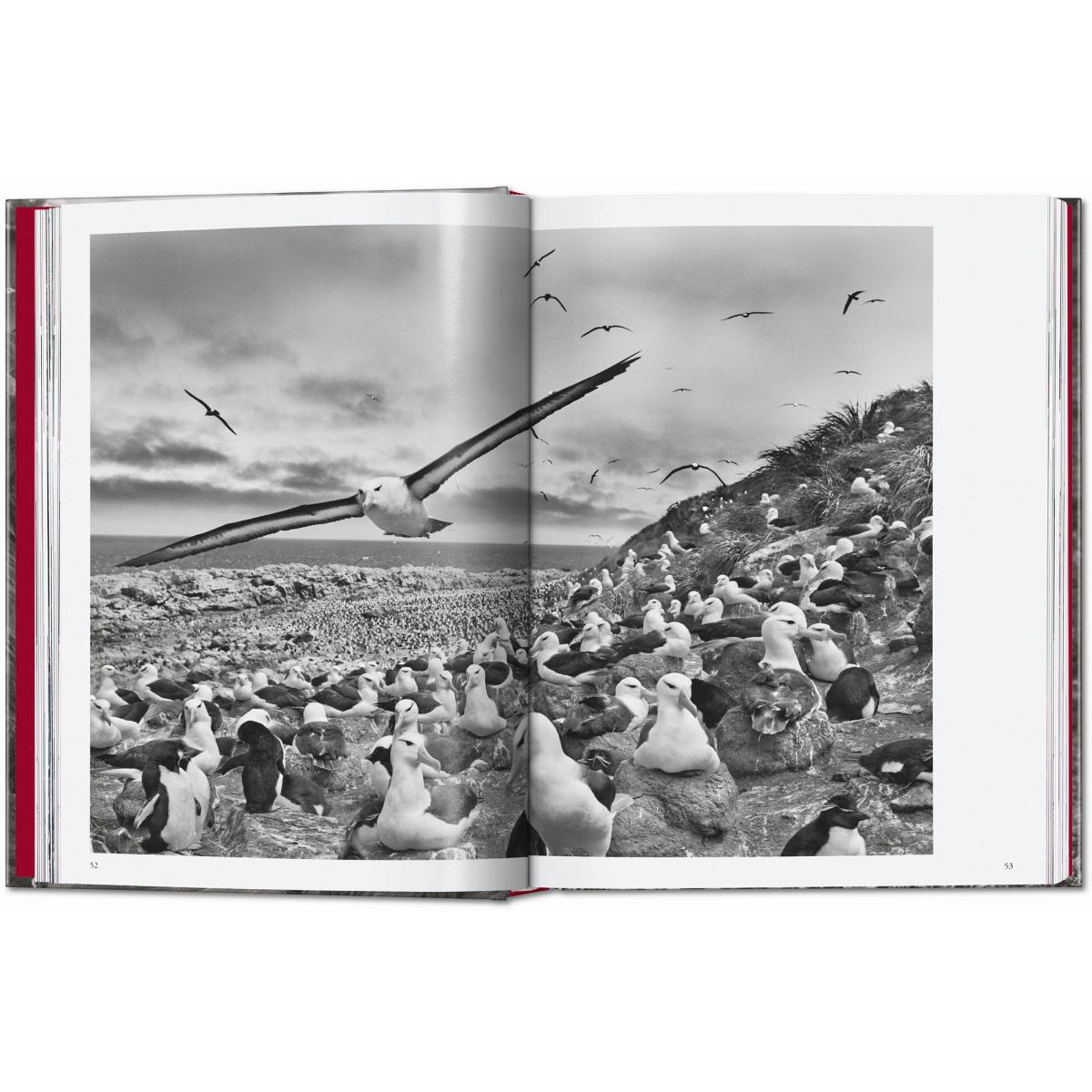 Sebastião Salgado. Genesis. 45th Ed. (Capa dura) 9