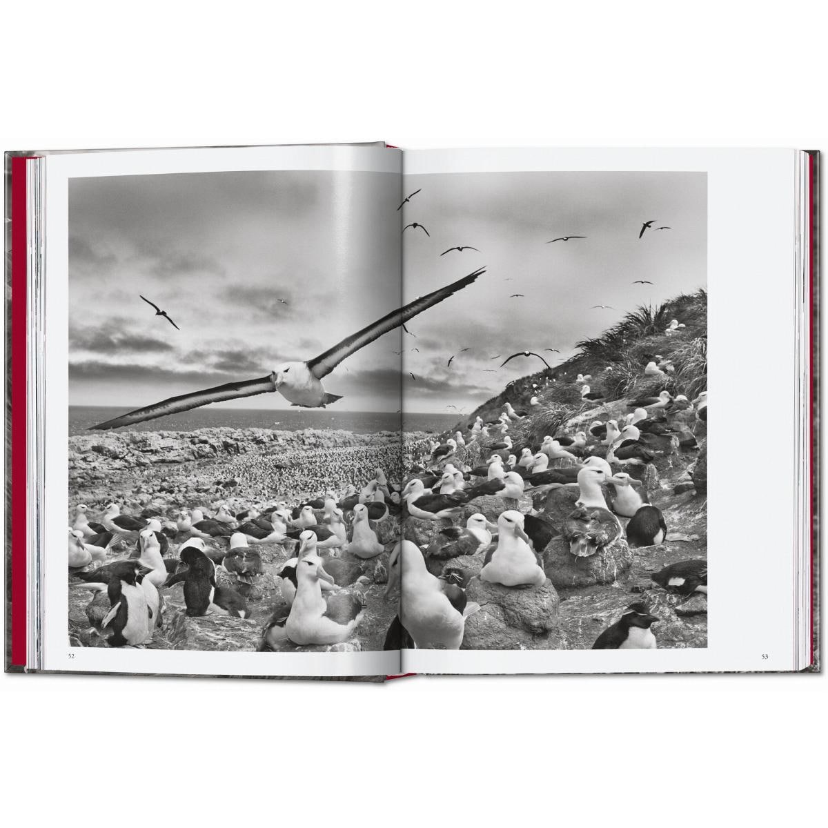 Sebastião Salgado. Genesis. 45th Ed. (Capa dura) 9