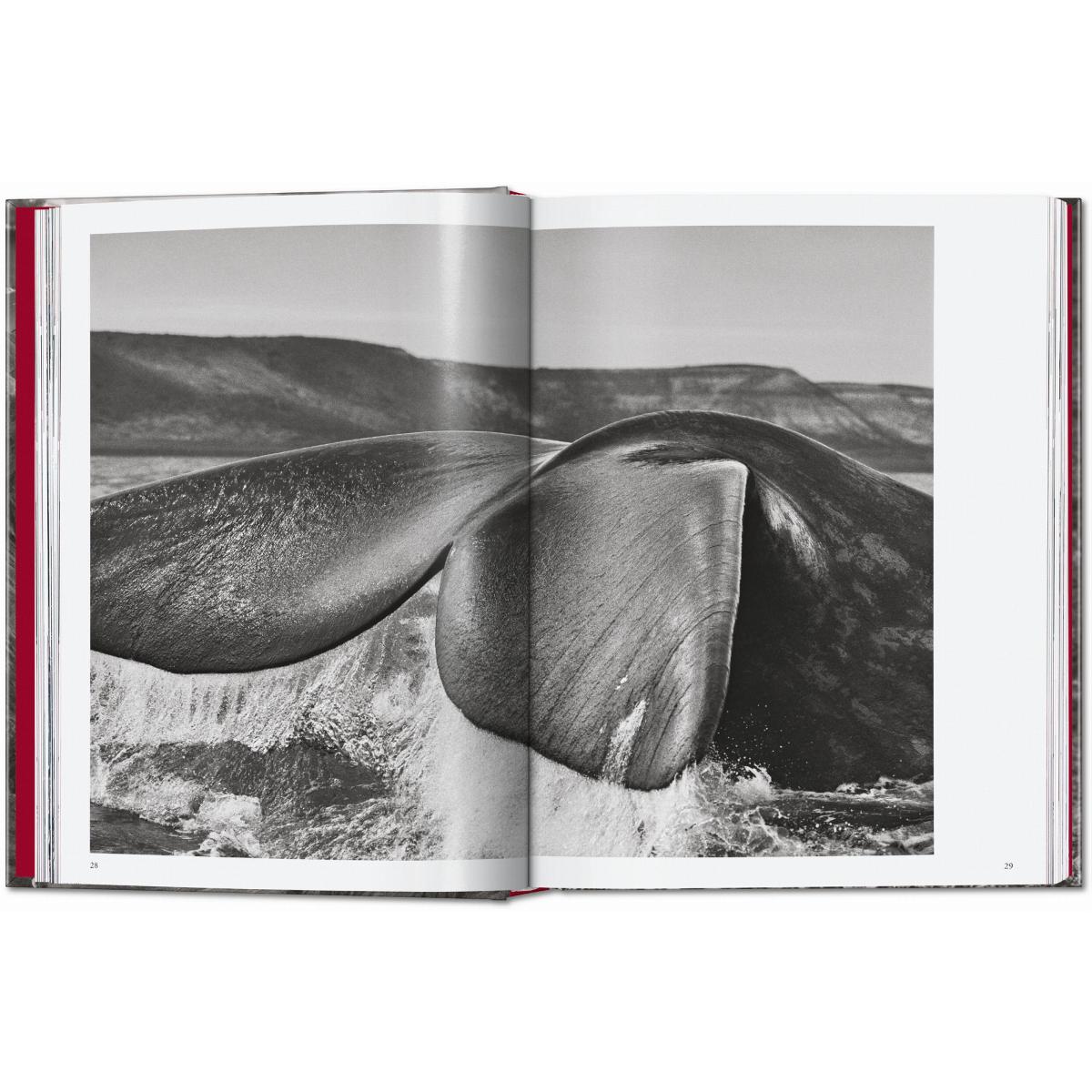 Sebastião Salgado. Genesis. 45th Ed. (Capa dura) 11