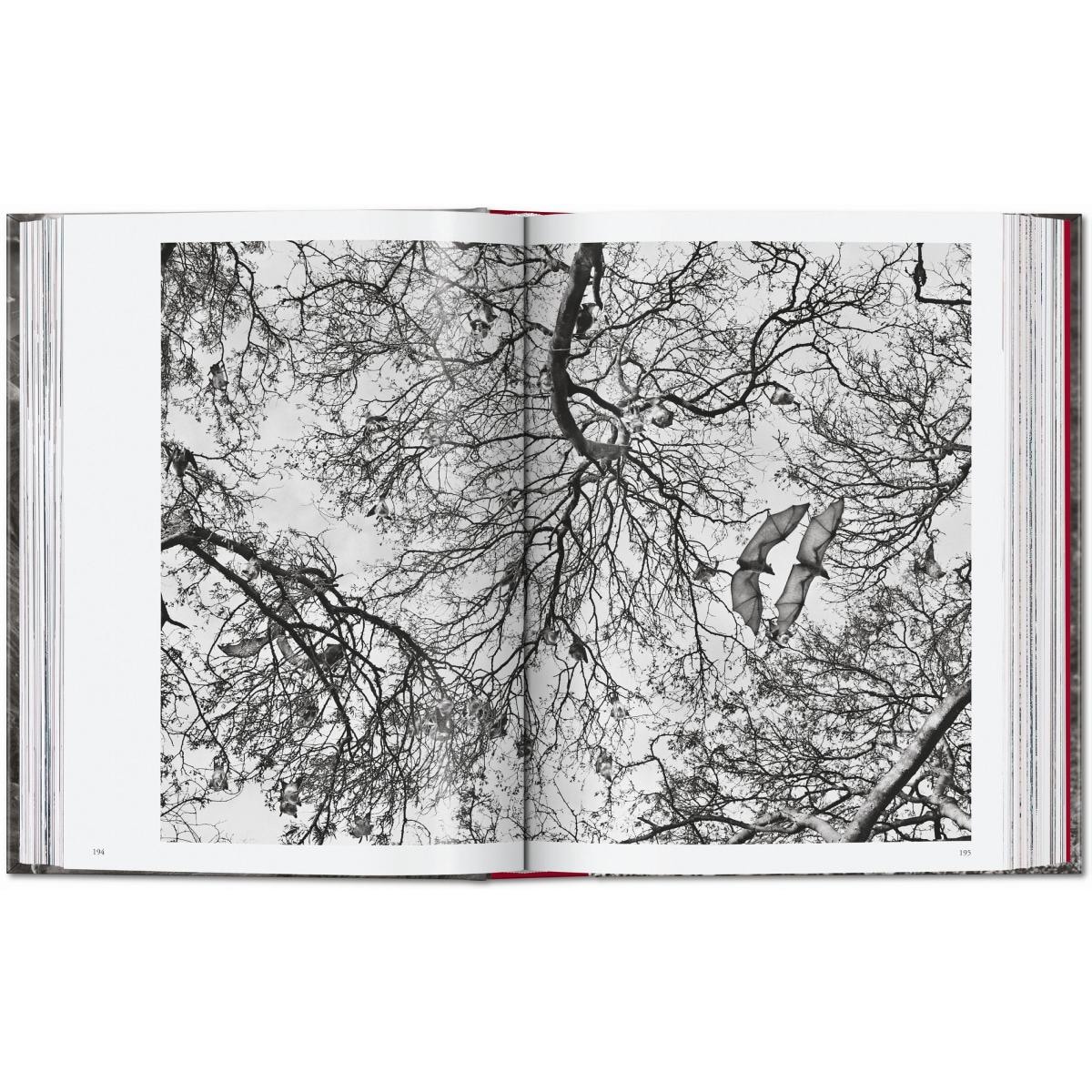 Sebastião Salgado. Genesis. 45th Ed. (Capa dura) 12